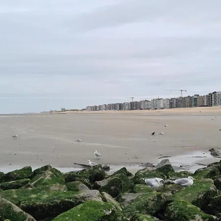 Zeezicht 101 With Side Sea View In *